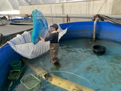 閉鎖循環式陸上養殖とは